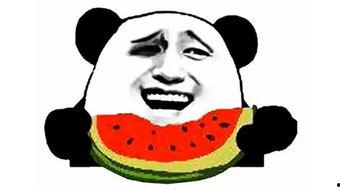 搞笑带货吃瓜视频素材,带你领略带货新风尚