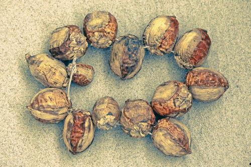 癞疙宝吃瓜原视频,一场趣味横生的夏日盛宴