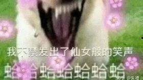 吃瓜画饼摸鱼视频大全集,趣味视频大盘点