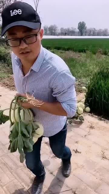 吃瓜小哥的视频,一场视觉盛宴的幕后故事