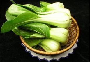 菜啾啾超长吃瓜视频,超长吃瓜视频大放送，笑料连连，精彩纷呈！