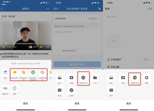 吃瓜视频资源怎么用微信,微信轻松制作精彩概述文章副标题