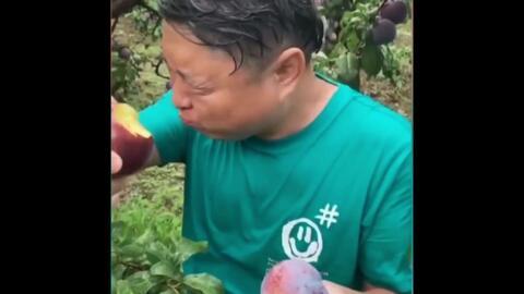 主播带货翻车吃瓜视频,吃瓜群众围观惊险一幕