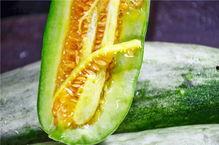 羊角蜜吃瓜视频,揭秘网红美食背后的甜蜜诱惑