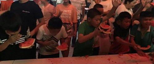 鹤岗吃瓜大赛事件视频,一场网络狂欢背后的社会现象解析