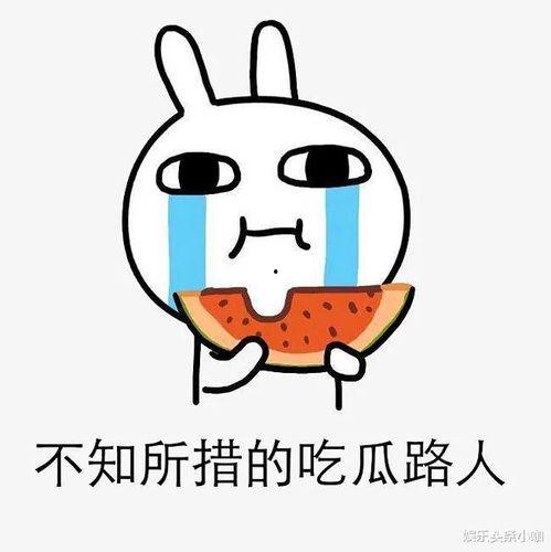 吃瓜哥道歉视频下载,深度反思与诚挚道歉