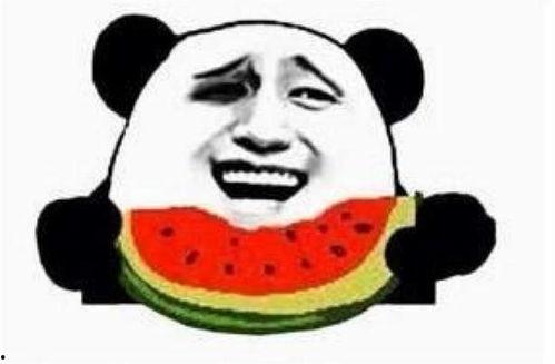 吃瓜群众小狗视频,萌态十足的视频瞬间