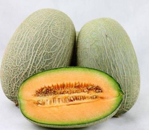 吃哈密瓜会出汗视频,揭秘夏日消暑新选择